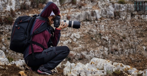 La fotografia tra privacy e diritto d'autore: che cosa è possibile pubblicare lecitamente?